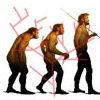 Evolution